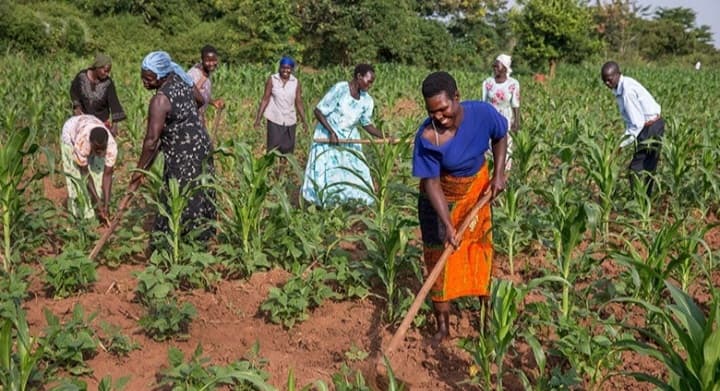 Economic Empowerment